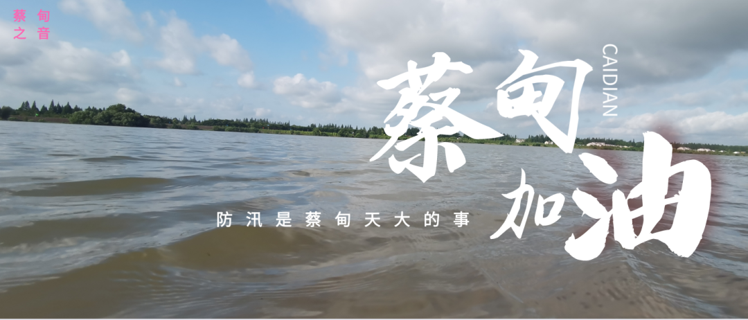 蔡甸區(qū)啟動(dòng)防汛ⅰ級(jí)應(yīng)急響應(yīng)，做好鋪土釘防汛木樁工作