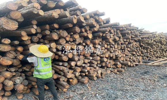 松木樁是什么，松木樁的用途有哪些-松木樁介紹