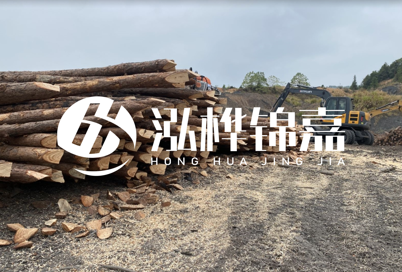 松木樁尾徑是什么意思？