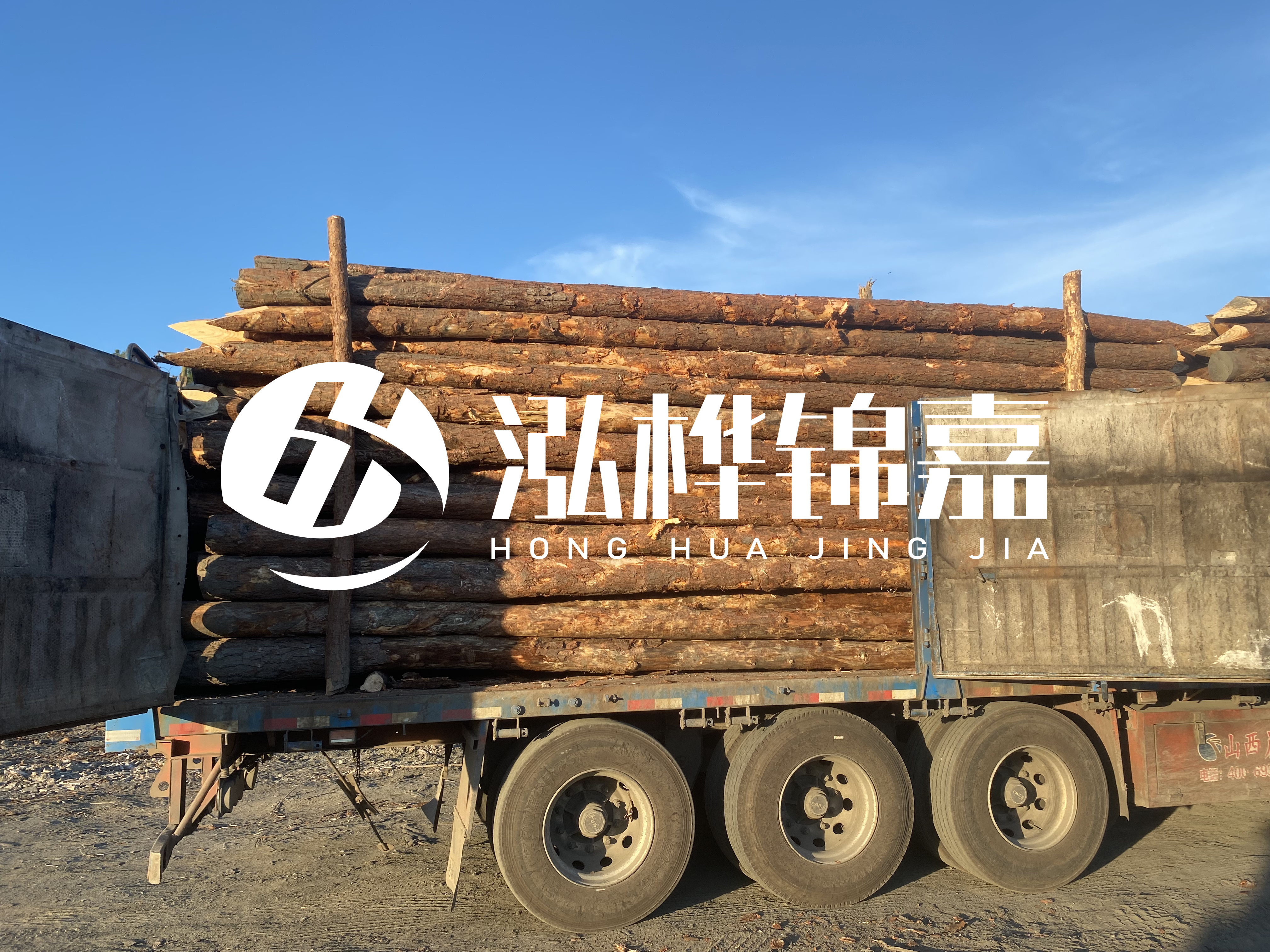 河道治理為什么要用松木樁？