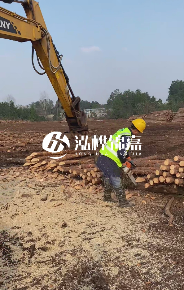 銅陵挖機(jī)打木樁專業(yè)施工-打松木樁一般算米還是算根？