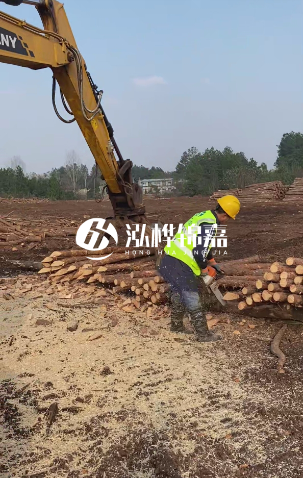 滁州挖機(jī)打木樁專業(yè)施工-河道打木樁與河岸加固關(guān)系？