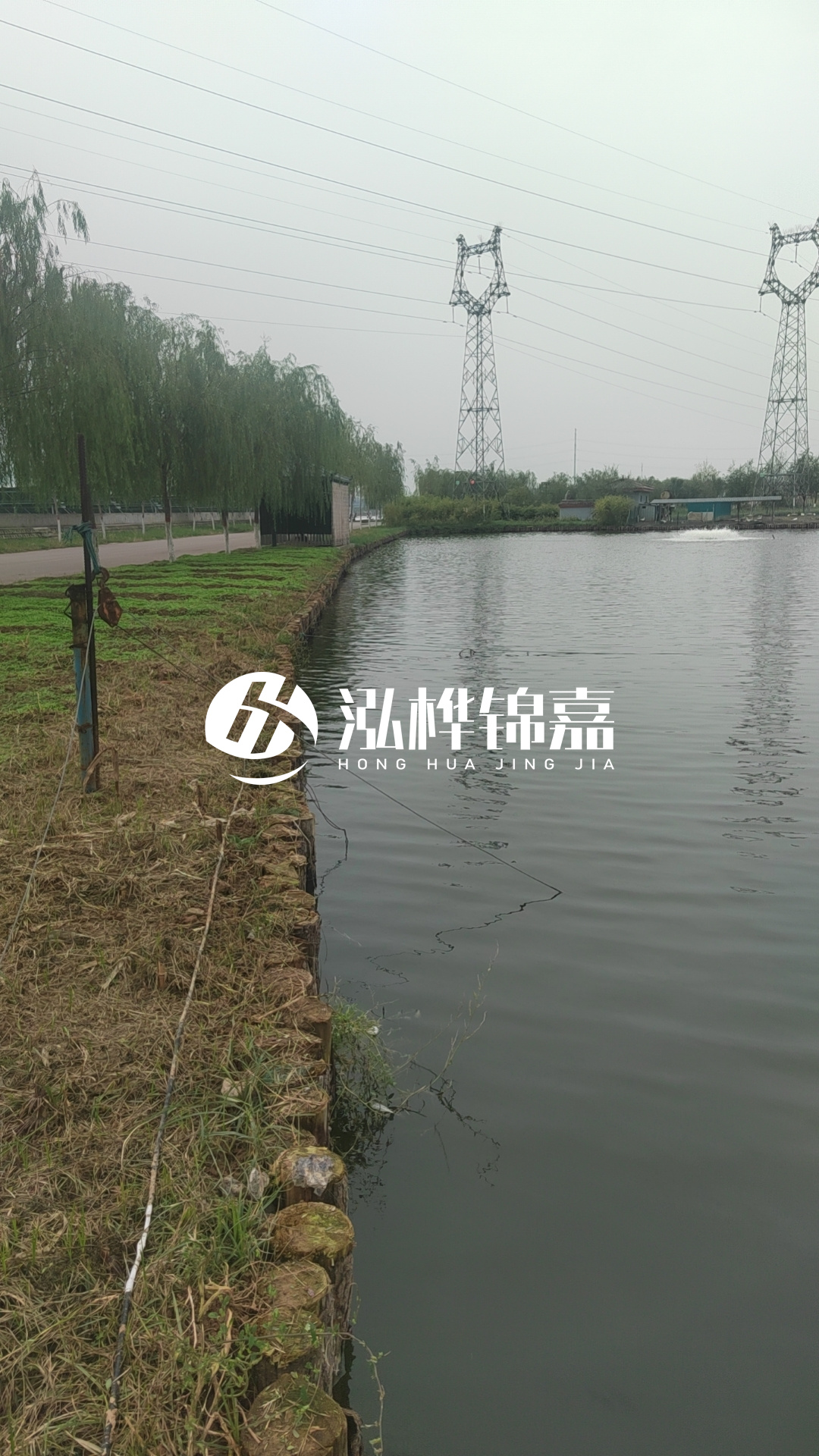 大同河道打松木樁施工-護坡木樁新的好還是舊的？
