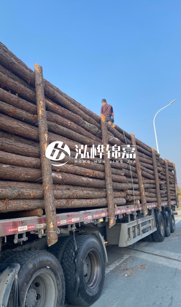 煙臺(tái)挖機(jī)打木樁專業(yè)施工-打防汛木樁后如何進(jìn)行加固？