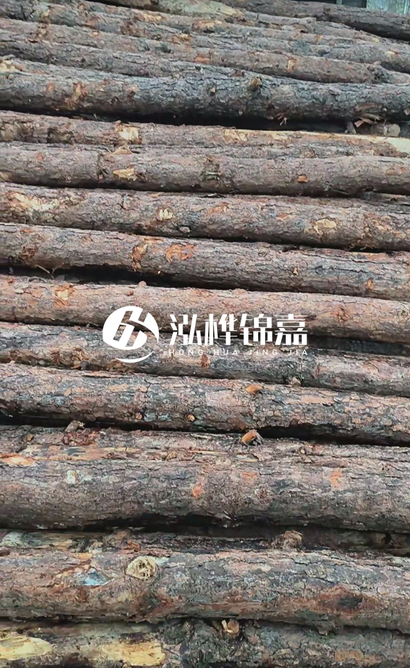 陽(yáng)江松木樁源頭廠家-哪一種打樁木最便宜？