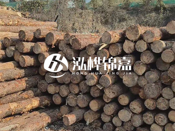 落葉松木材的主要產(chǎn)地在哪里？為什么比其他松木更耐腐蝕？