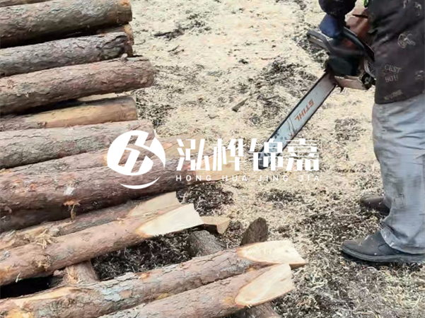 杉木樁批發(fā)廠家哪家好？產(chǎn)地直供渠道推薦！