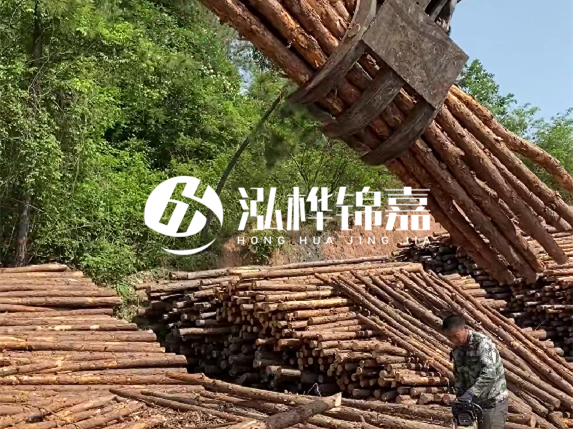 防汛木樁頂部怎么防裂？防汛木樁被洪水沖歪怎么辦？