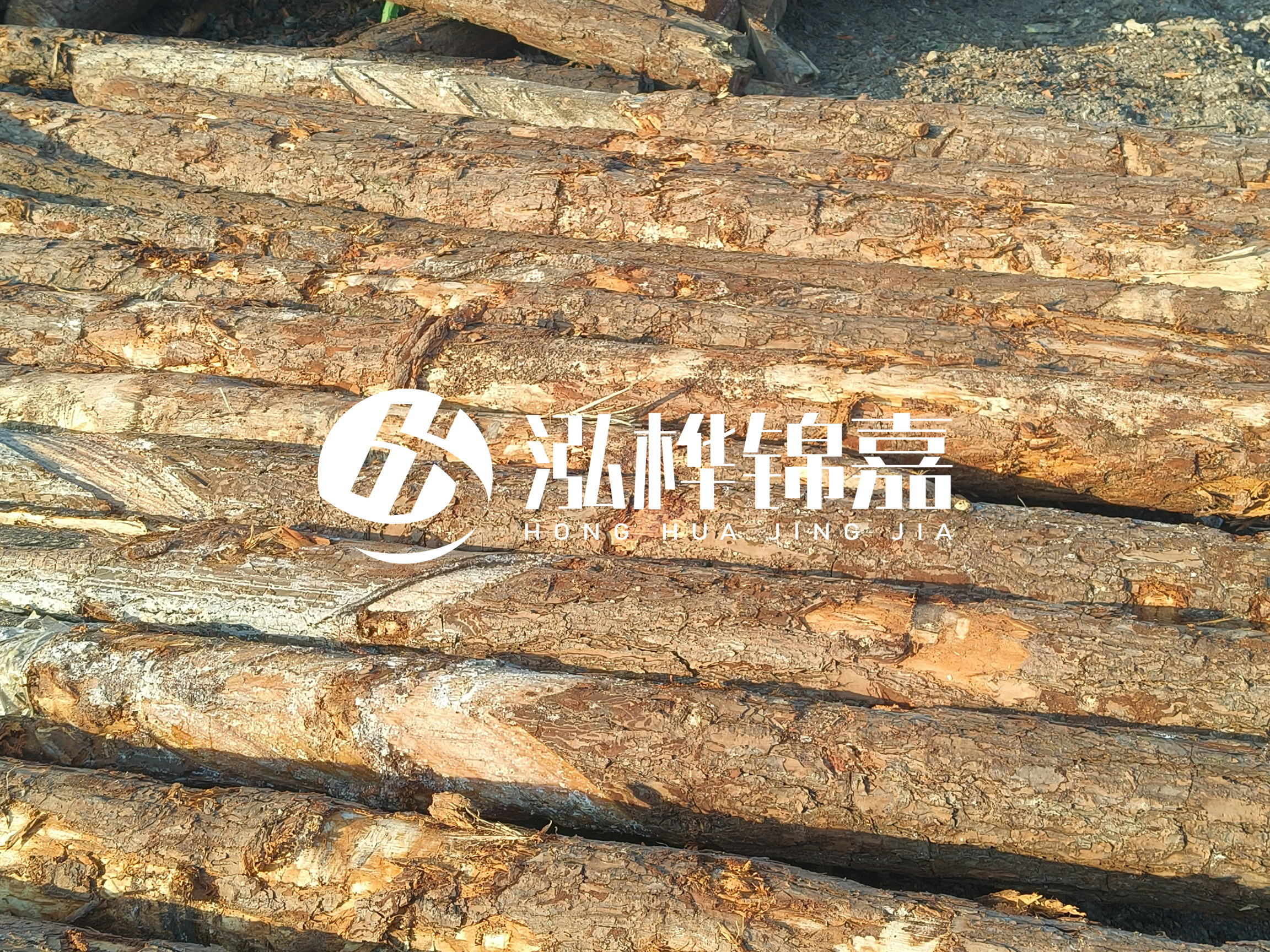 河道木樁的含水率過高會有什么問題？怎么檢查松木樁含水率？