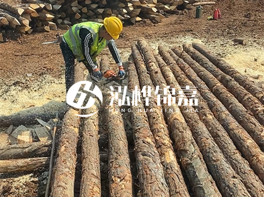 松木樁批發(fā)廠(chǎng)家泓樺錦嘉-河道打樁木施工中怎么防止樁頭被打壞？