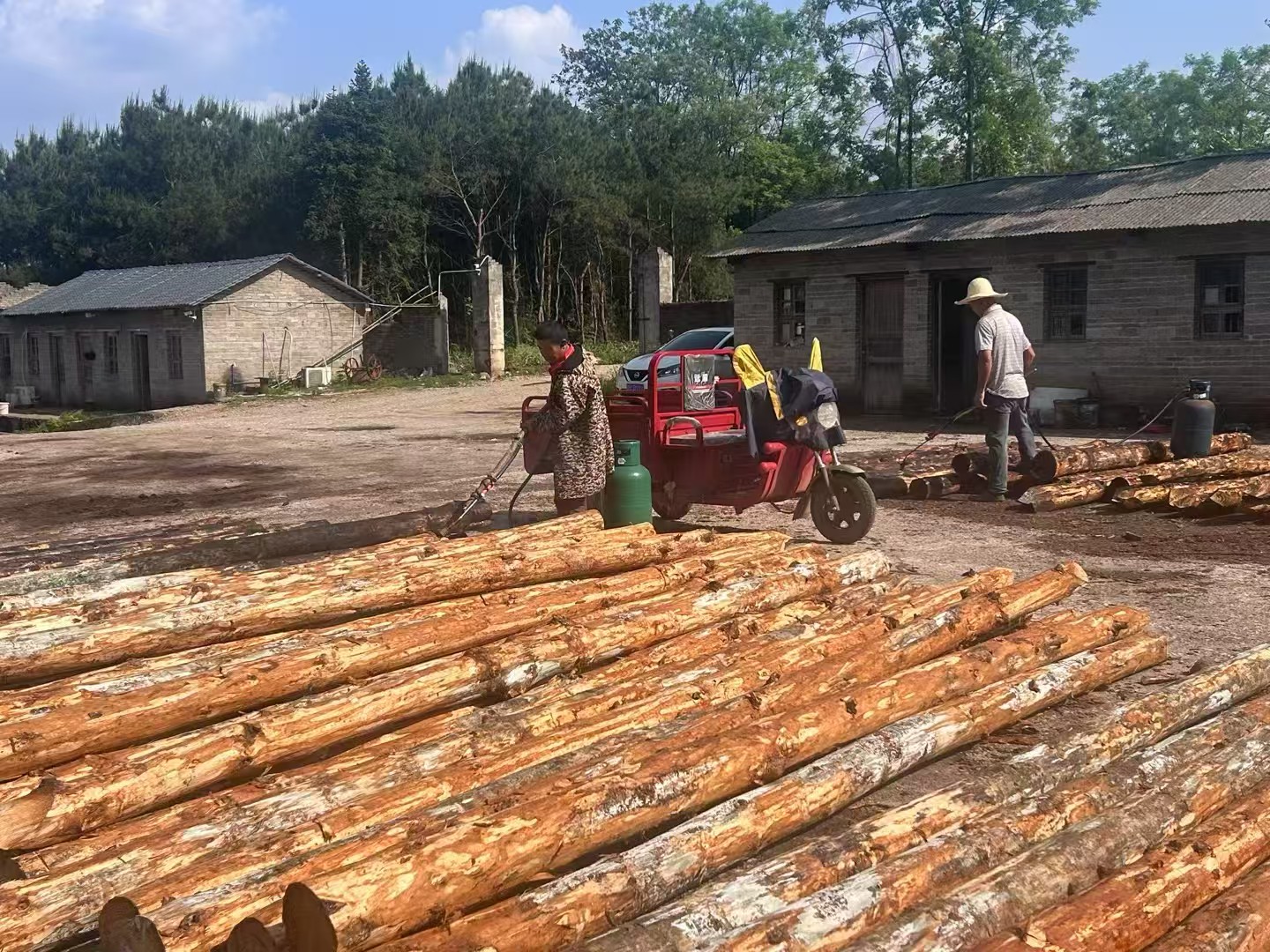 松木樁批發(fā)廠家泓樺錦嘉-圍堰松木樁為什么要交錯排列？