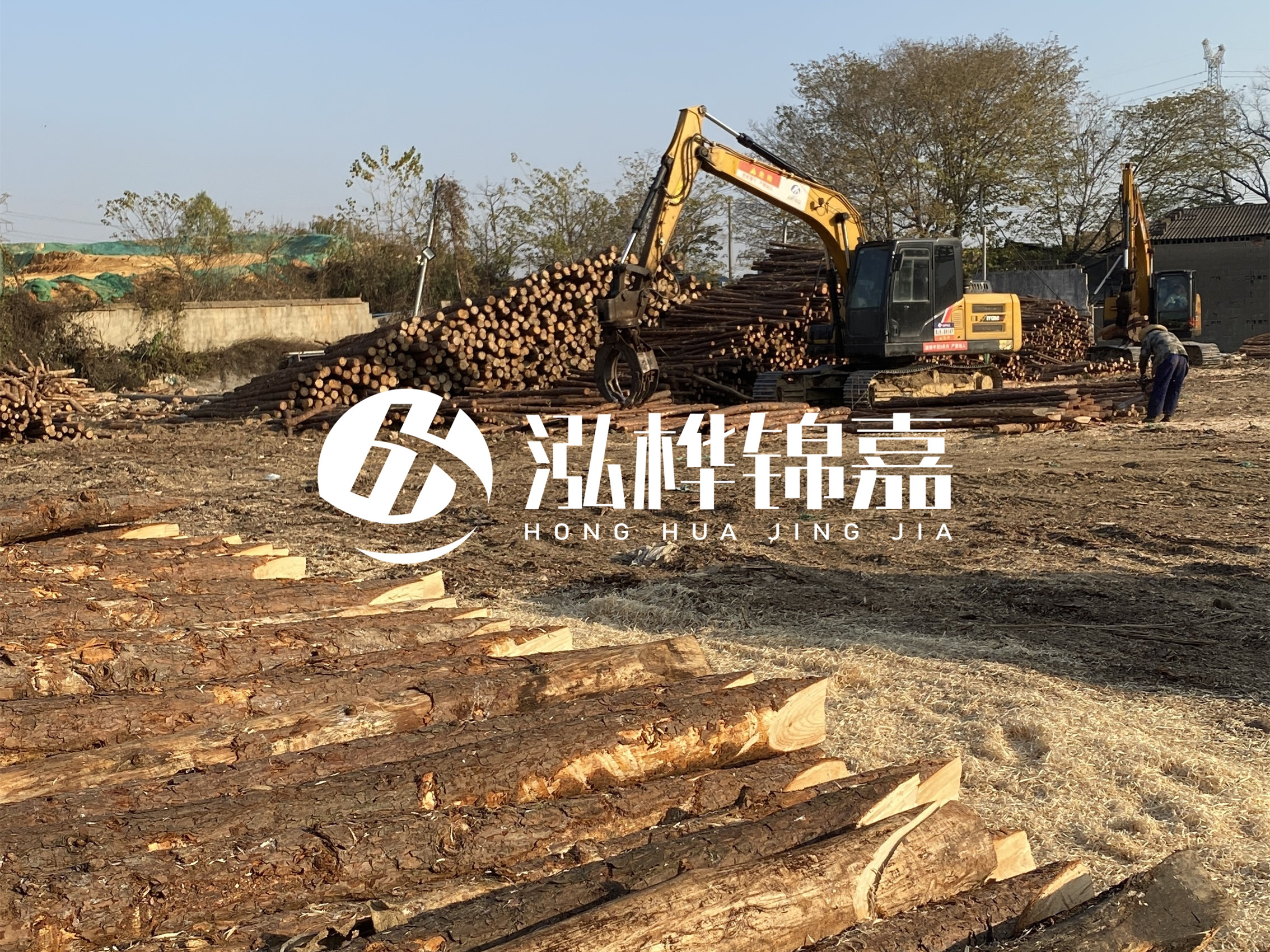 松木樁批發(fā)廠家泓樺錦嘉-松木樁廠家能開發(fā)票嗎？