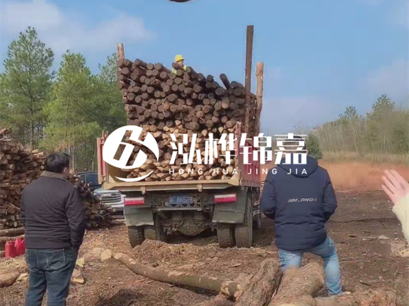 松木樁廠家泓樺錦嘉-存放超過半年的原木松木樁還能用嗎？