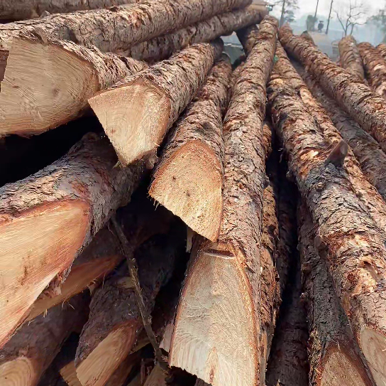 松木樁施工隊(duì)泓樺錦嘉 - 原木松木樁怎么辨別是否為實(shí)心？