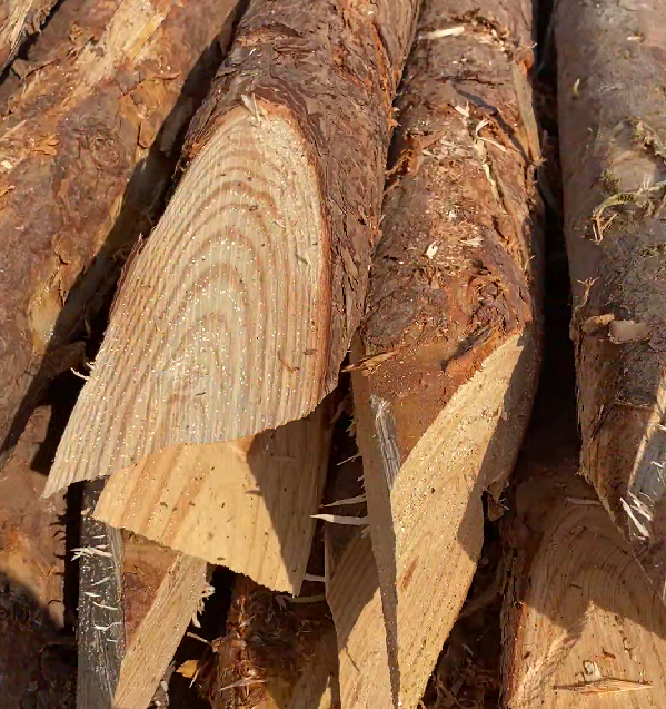 松木樁施工隊(duì)泓樺錦嘉 - 原木松木樁的最低起訂量是多少？