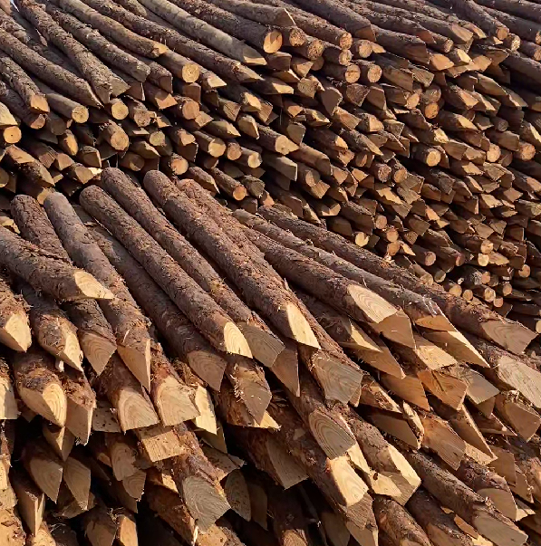 松木樁施工隊(duì)泓樺錦嘉 - 河道駁岸樁的檢測(cè)標(biāo)準(zhǔn)是什么？