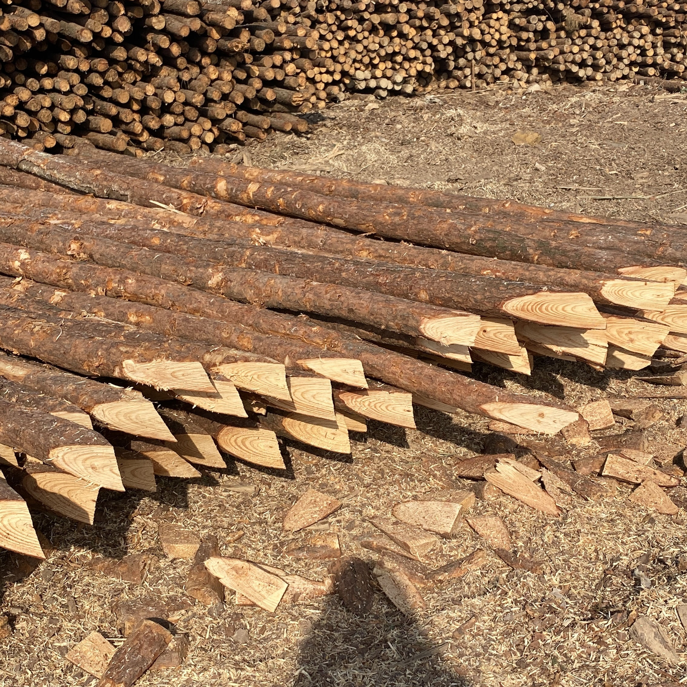 松木樁施工隊泓樺錦嘉-樁與樁之間的距離要求？