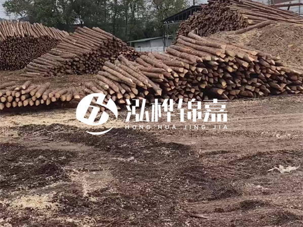 松木樁施工隊泓樺錦嘉-河道駁岸樁選擇松木還是水泥材質(zhì)更合適？