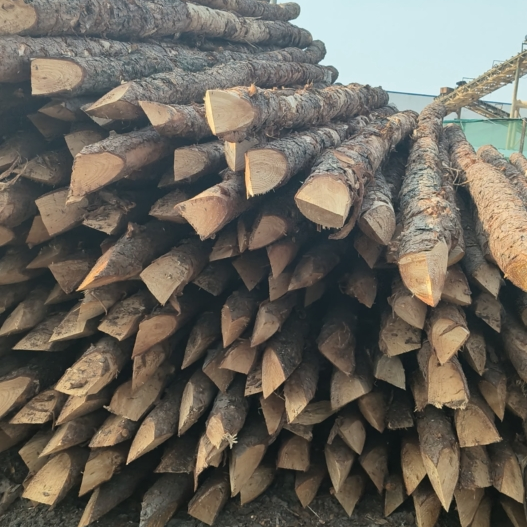 松木樁施工隊泓樺錦嘉 - 河道改造用什么規(guī)格的打樁木？