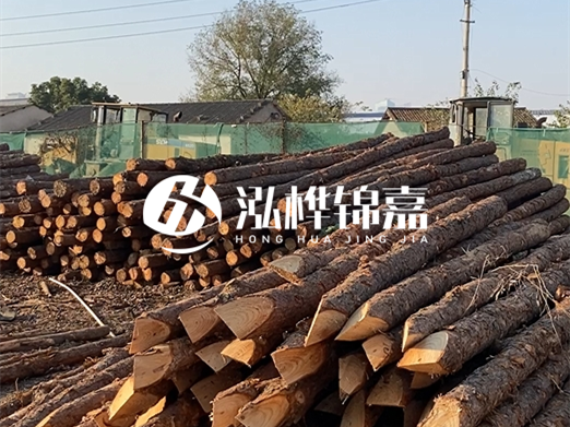 松木樁施工隊泓樺錦嘉 - 河道打樁用什么木樁？