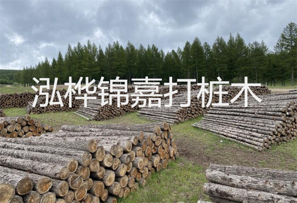 水杉養(yǎng)殖方法與技巧，水杉怎么養(yǎng)家庭養(yǎng)法