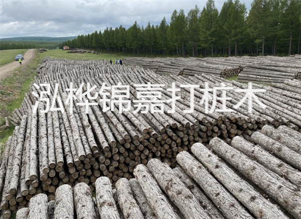 河道打木樁施工方案怎么寫，河道打木樁施工方案范本