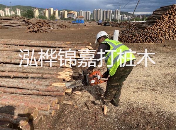 工地上打樁的目的是什么，地基打木樁用什么木材